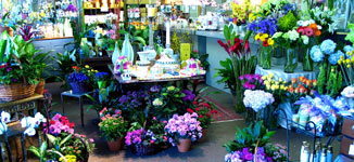 Mockingbird Florist, fine flowers, gifts and event designs in Dallas, Texas.